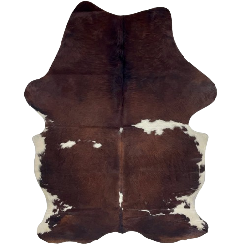 Colombian Dk Brown and White Cowhide: has a mix of blackish brown and dark, reddish brown, with a few white spots, and white on part of the belly and hind shanks - 6'10" x 4'6" (COBNW381)