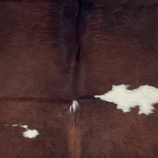 Closeup of this Colombian Cowhide, showing a mix of blackish brown and dark, reddish brown, with a few white spots (COBNW381)