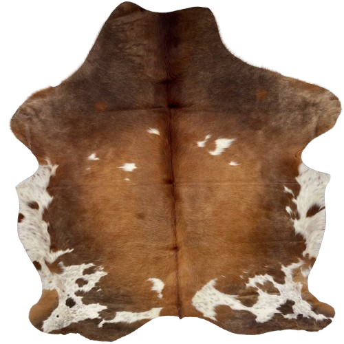 Brown and White Colombian Cowhide: light, reddish brown, with white spots, in the middle, and medium brown and white spots with brown speckles on the belly, butt, and hind shanks - 6'11" x 5'7" (COBNW383)