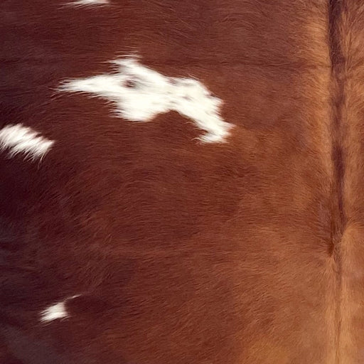 Closeup of this Colombian Cowhide, showing red brown with white spots that have red brown speckles  (COBNW384)