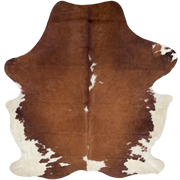 Large Brown and White Colombian Cowhide: brown with white spots down the middle, and off-white on the belly and hind shanks - 7'10" x 5'10" (COBNW385)