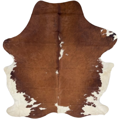 Large Brown and White Colombian Cowhide: brown with white spots down the middle, and off-white on the belly and hind shanks - 7'10" x 5'10" (COBNW385)