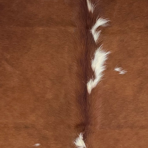 Closeup of t his Large Colombian Cowhide, showing brown with white spots down the middle (COBNW385)
