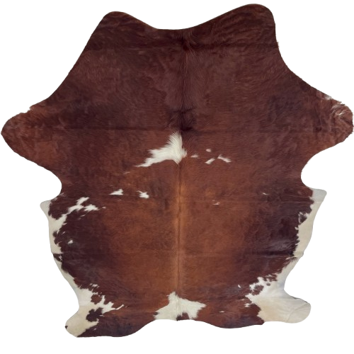 Large Red Brown and White Colombian Cowhide: red brown with white spots, and off-white on the belly and hind shanks - 7'7" x 5'3" (COBNW386)