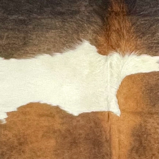 Closeup of this Large Colombian Cowhide, showing red brown, dark brown, and white spots (COBNW387)