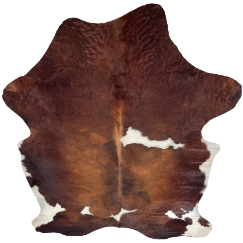 XL Red Brown and White Colombian Cowhide: red brown with a few white spots on the back, belly, and hind shanks, and the hair has a wavy texture on the shoulder - 8' x 5'8" (COBNW388)