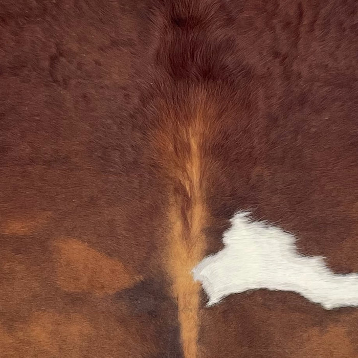 Closeup of this XL Colombian Cowhide, showing red brown and a white spot on the back, and wavy hair texture on the shoulder (COBNW388)
