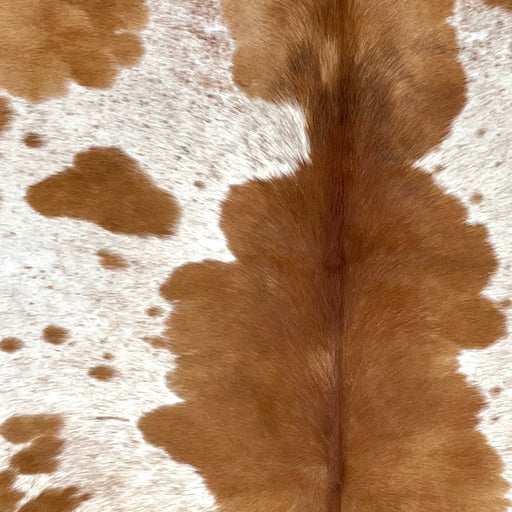 Closeup of this Colombian Speckled Cowhide, showing white with reddish brown speckles and spots (COBNW389)