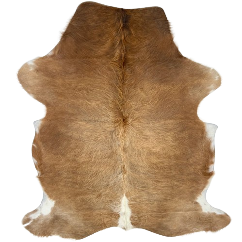 Brown and White Colombian Cowhide: has long hair that is brown, with white down the middle of the butt and on part of the belly and shanks - 6'6" x 4'7" (COBNW390)