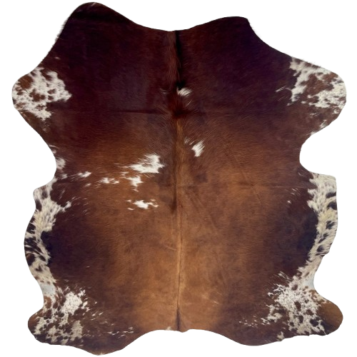 Brown and White Colombian Cowhide: brown and reddish brown, with a few white spots on the back and butt, white with brown speckles and spots on the belly and shanks, and longer hair down the middle of the shoulder - 6'4" x 5'2" (COBNW391)