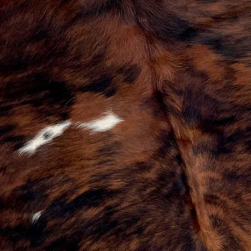 Closeup of this Colombian, Brindle Cowhide, showing red brown and black, with a couple small, white spots on the left side (COBR1002)