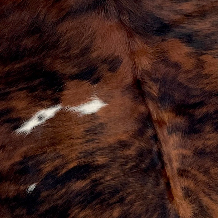 Belt - Cowhide Brown Wolf Unisex - Brushy Creek Size 32 Color Brun