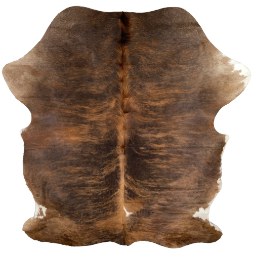Two Tone Brown Colombian Brindle Cowhide:  chocolate, blackish brown, and dark brown, with a splash of white on the belly and two right shanks - 7'2" x 5'4" (COBR1009)
