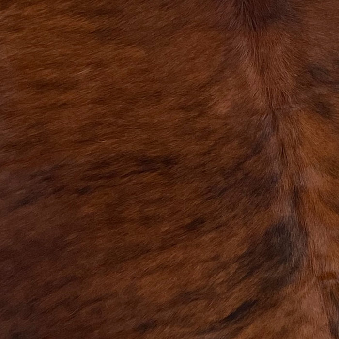 Closeup of this Colombian, Brindle Cowhide, showing reddish brown and black (COBR1010)