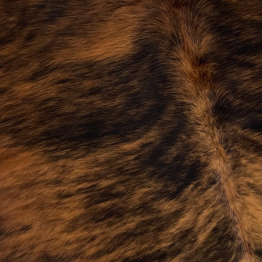 Closeup of this Colombian, Brindle Cowhide, showing brown and black (COBR1011)