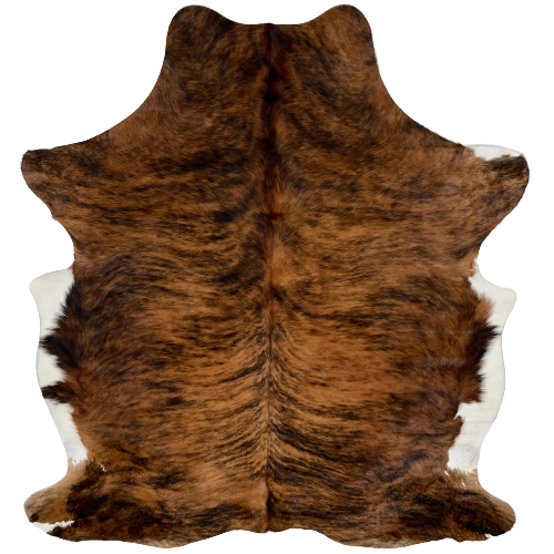 Reddish Brown Brown and Black Colombian Brindle Cowhide, with white on the belly - 6'5" x 4'10" (COBR1012)