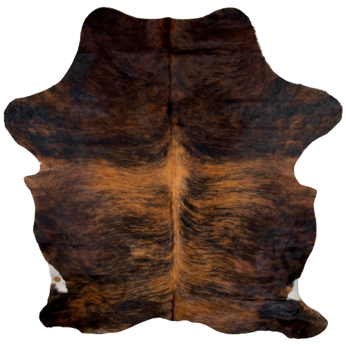Black and Reddish Brown Colombian Brindle Cowhide:  black and reddish brown, with a touch of white near both hind shanks - 6'10" x 5'3" (COBR1031)