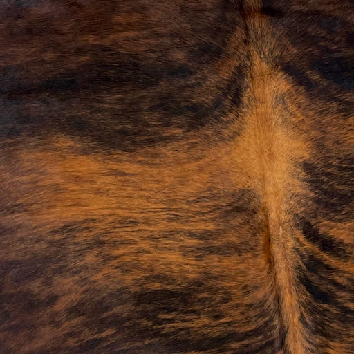 Closeup of this Colombian, Brindle Cowhide, showing black and reddish brown (COBR1031)