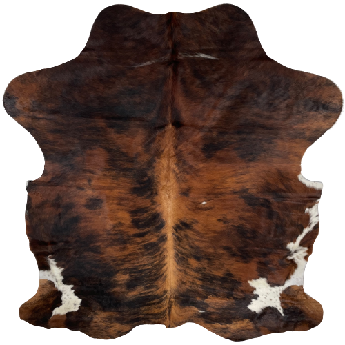 Red Brown and Black Colombian Brindle Cowhide:  red brown and black, with two small, white spots on the right side, a larger spot with black speckles on the belly and near the hind shanks, and a thin strip of white across the middle part of the shoulder, and it has golden red brown down the spine - 6'5" x 4'9" (COBR1032)