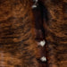 Closeup of this Colombian, Brindle Cowhide, showing brown and black, with a few small, white spots on the spine (COBR1034)
