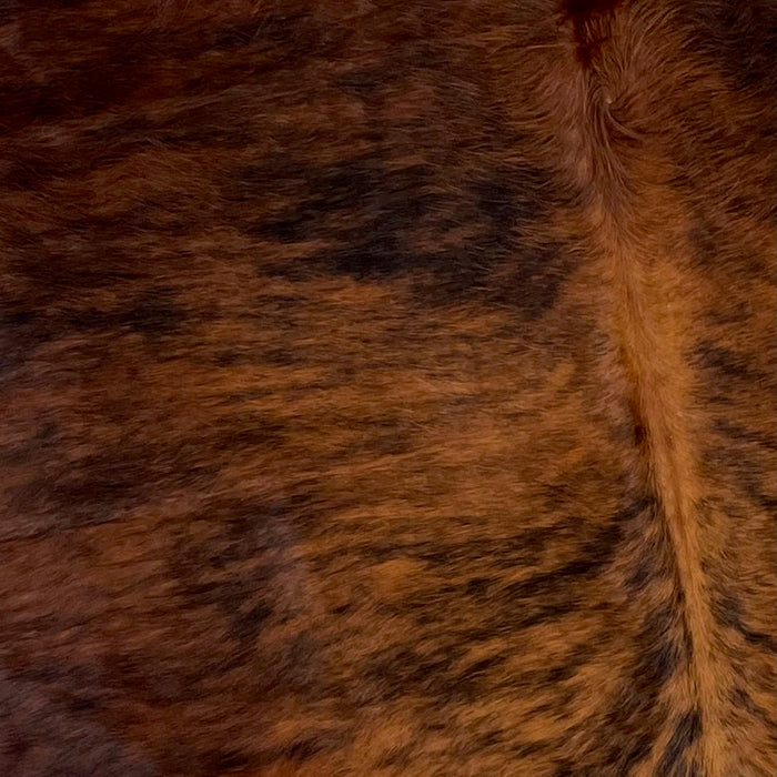 Closeup of this Colombian, Brindle Cowhide, showing lighter red brown and black in the middle of the back, and dark red brown and black on the sides (COBR1039)