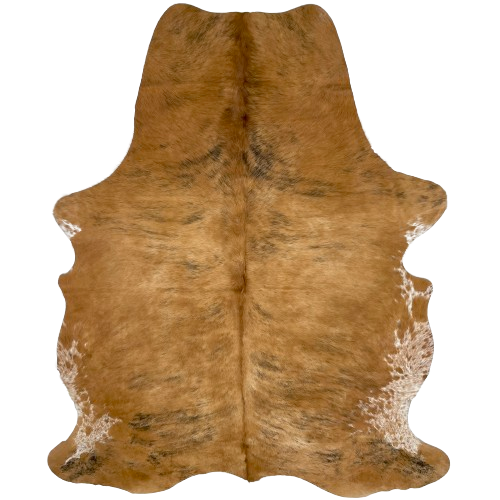 Caramel and Black Colombian Brindle Cowhide:  caramel and black, and it has white with caramel speckles on part of the belly and shanks - 7' x 5' (COBR1086)