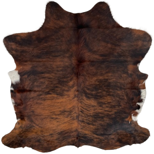 Reddish Brown and Black Colombian Brindle Cowhide:  red brown and black, and it has white, with black and brown spots, on part of the belly, and the hair is longer on the spine and belly - 6'5" x 5' (COBR1087)