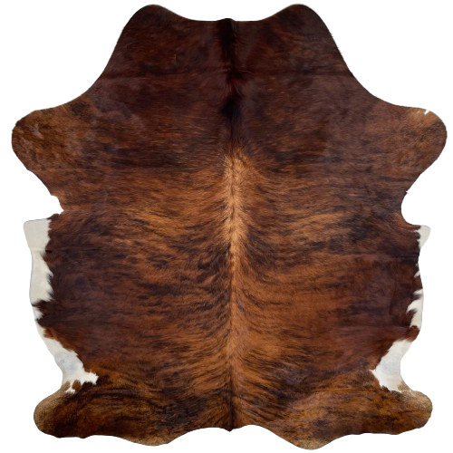 Red Brown and Black Colombian Brindle Cowhide:  red brown and black, with white on part of the belly - 7'2" x 5'10" (COBR1090)