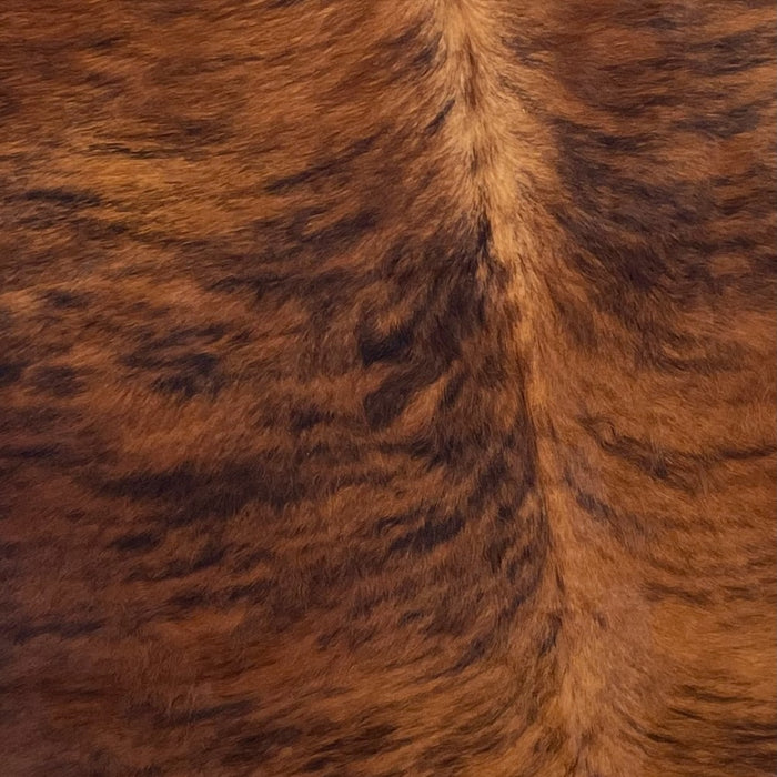 Closeup of this Colombian, Brindle Cowhide, showing red brown and black (COBR1090)