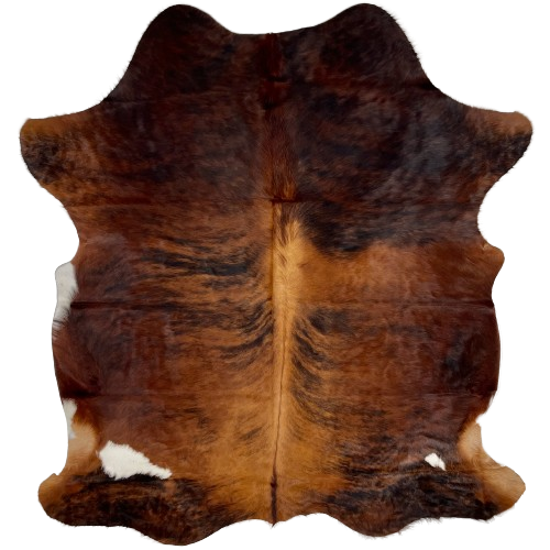 Reddish Brown and Black Colombian Brindle Cowhide:  reddish brown with black, brindle markings, golden brown down part of the spine, and it has a white spot on each side, near the hind shanks - 6'4" x 4'11" (COBR1091)