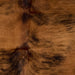 Closeup of this Brown and Black, Colombian, Brindle Cowhide, showing brown with black, brindle markings (COBR1143)