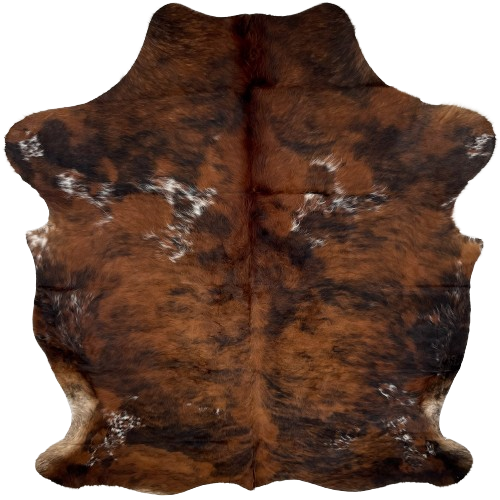 Red Brown and Black Colombian Brindle Cowhide:  has long hair that is red brown, with black bridle markings, and it has some white speckles - 6'11" x 5'6" (COBR1145)
