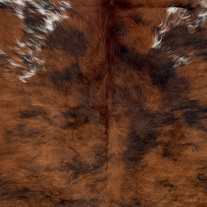 Closeup of this Colombian, Brindle Cowhide, showing long hair that is red brown, with black bridle markings, and some white speckles (COBR1145)
