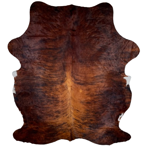 XL Red Brown and Black Colombian Brindle Cowhide:  dark red brown, with black, brindle markings, and it is golden red brown down the middle of the back - 8'2" x 6'4" (COBR1146)
