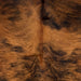 Closeup of this Colombian, Brindle Cowhide, showing reddish brown with black, brindle markings (COBR1147)