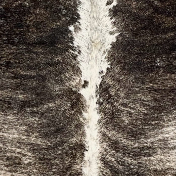 Closeup of this Large, Colombian, Brindle Cowhide, showing off-white with black, brindle markings, and hints of blackish brown on the shoulder, and white, with black speckles down the spine (COBR1239)