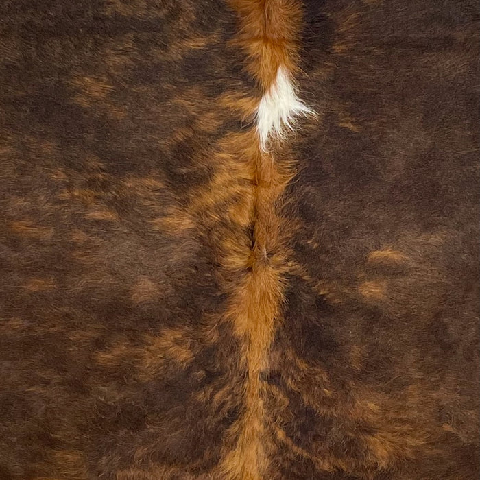 Colombian Brown Brindle Cowhide - 7'1" x 4'11" (COBR1242)