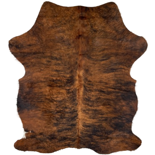 Red Brown and Black Colombian Brindle Cowhide, longer hair: red brown with black, brindle markings, and its longer hair has a curly texture - 6'2" x 4'7" (COBR1320)