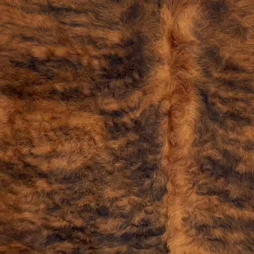 Closeup of this Colombian Brindle Cowhide, showing red brown with black, brindle markings, and longer hair with a curly texture (COBR1320)