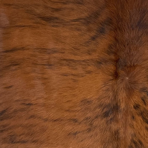 closeup of this Colombian Brindle Cowhide, showing brown with a black, brindle pattern (COBR1322)