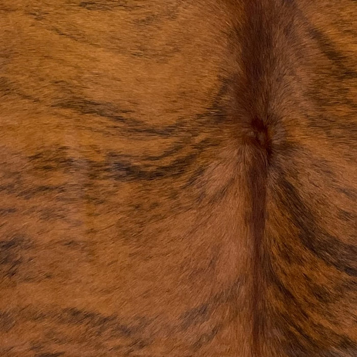 Closeup of this Colombian Brindle Cowhide, showing brown with black, brindle markings (COBR1323)