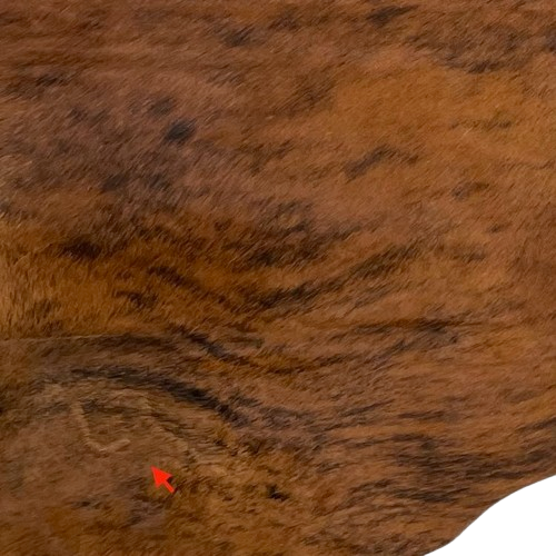 Closeup of this Brown and Black Colombian Brindle Cowhide, showing one brand mark on the left side of the butt  (COBR1323)