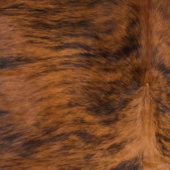 Closeup of this Colombian Brindle Cowhide, showing reddish brown with black, brindle markings (COBR1324)