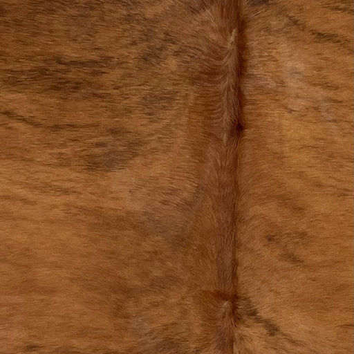 Closeup of this Colombian Brindle Cowhide, showing brown with black, brindle markings  (COBR1325)