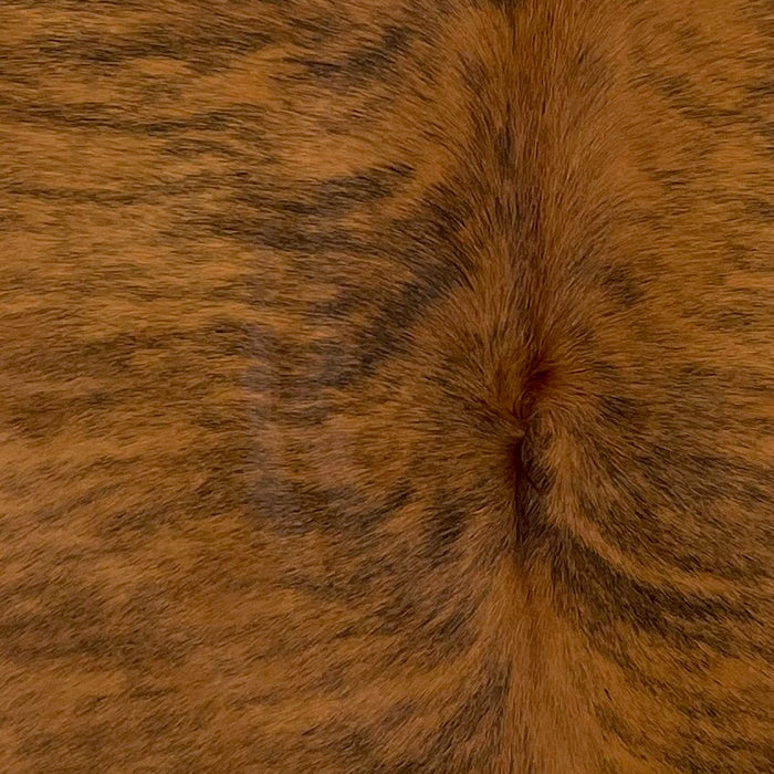 Closeup of this Colombian Brindle Cowhide, showing reddish brown with black, brindle markings (COBR1327)