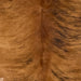 Closeup of this Colombian Brindle Cowhide, showing golden brown with black, brindle markings, and longer, red brown hair down the spine  (COBR1329)