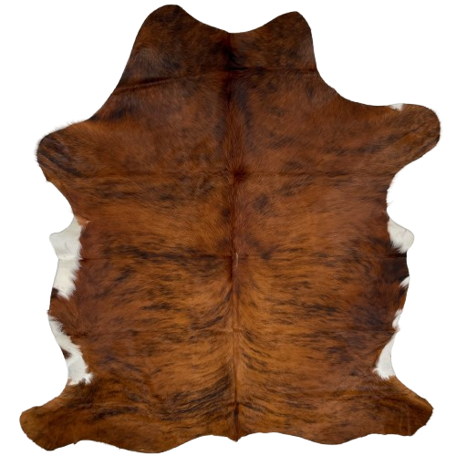 Reddish Brown and Black Colombian Brindle Cowhide: reddish brown with black, brindle markings, and white on part of the belly - 7'1" x 5'3" (COBR1345)