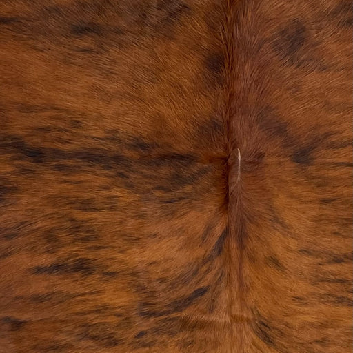 Closeup of this Colombian Brindle Cowhide, showing reddish brown with black, brindle markings (COBR1345)