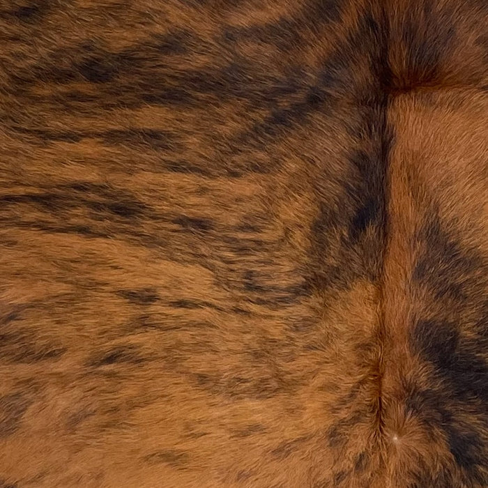 Closeup of this Colombian Brindle Cowhide, showing brown with black, brindle markings  (COBR1399)