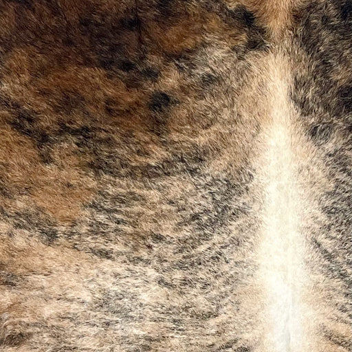 Closeup of this Large Colombian Brindle Cowhide, showing light brown with black, brindle markings, off-white down the spine, and dark brown, with black, brindle markings on the shoulder (COBR1473)